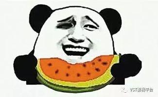 吃瓜群众小胖图片搞笑视频,瓜田里的欢乐喜剧
