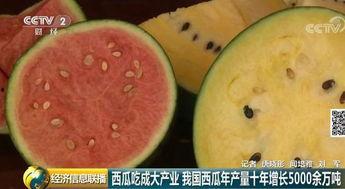 吃瓜群众手里的西瓜,揭秘吃瓜群众手中的西瓜秘密