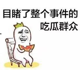 吃瓜群众性格,揭秘吃瓜群众的性格奥秘