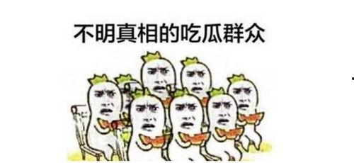 吃瓜群众进群视频大全,揭秘网络社交背后的趣味与真相
