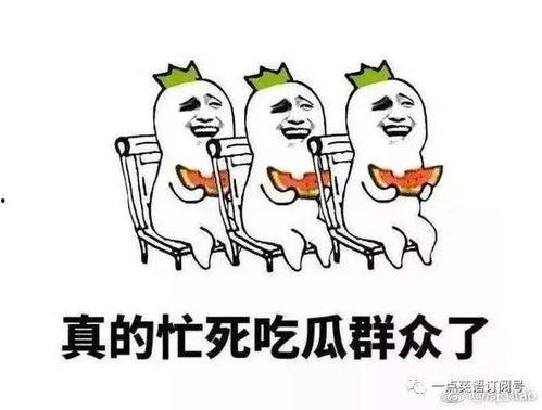 吃瓜群众网络语言,揭秘娱乐圈那些事儿