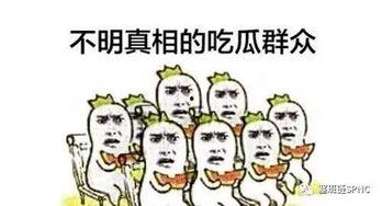 吃瓜群众花朵,揭秘娱乐圈幕后风云