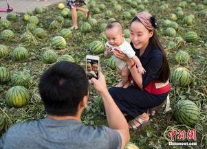 固始吃瓜群众图片高清,捕捉生活百态