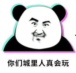 吃瓜群众熊猫头像图片,这瓜我吃了！