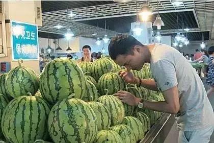 吃瓜群众都是西瓜吗,揭秘西瓜背后的网络文化现象