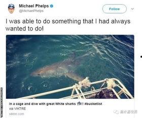 大白鲨吃瓜群众,吃瓜群众的惊悚海洋之旅