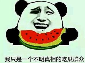 为啥是吃瓜群众呢,揭秘“吃瓜群众”的由来与网络文化现象