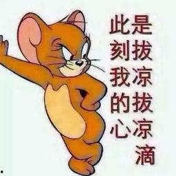 吃瓜群众宝贝图片,揭秘吃瓜群众宝贝的神秘面纱