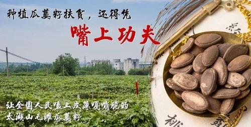 中国吃瓜群众香不香,香不香的背后故事