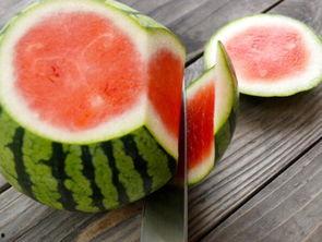 胡瓜玫瑰吃瓜群众,揭秘吃瓜群众的狂欢盛宴