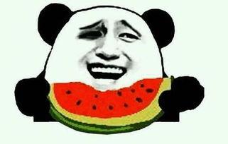 工地群众吃瓜视频,揭秘工地生活趣味瞬间