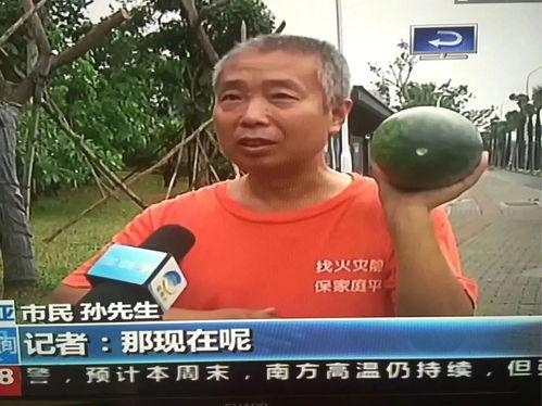 外国吃瓜群众被打事件真相,外国吃瓜群众被打事件背后的真相与反思