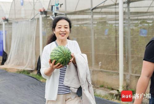 三亚吃瓜群众视频,揭秘夏日街头热辣瞬间