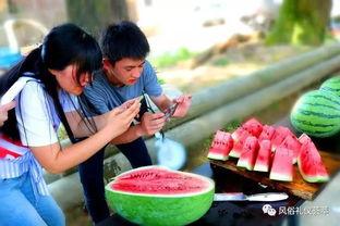 吃瓜群众去哪摘桃子,桃子采摘之旅