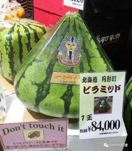 中国吃瓜群众吃国外的瓜,中国吃瓜群众的热议焦点