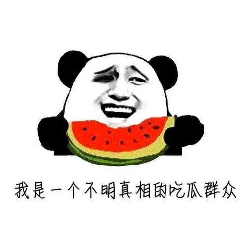 吃瓜群众中的一名