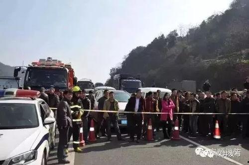 容城吃瓜群众新闻视频,最新新闻视频揭秘事件真相