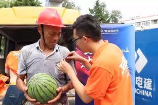 福建平潭吃瓜群众事件真相,真相与反思