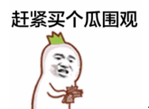 苍兰诀吃瓜群众表情包