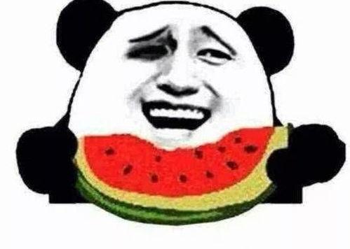 吃瓜群众菜狗鼓掌