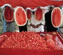 吃瓜群众微信图像,趣味横生的社交缩影