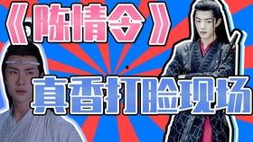 大型吃瓜群众现场陈情令,大型吃瓜群众现场揭秘，精彩瞬间一网打尽