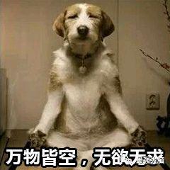 吃瓜群众biubiu,揭秘娱乐圈幕后故事