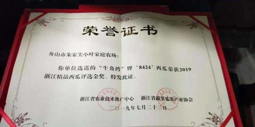 舟山吃瓜群众事件始末最新消息,真相追踪与舆论风暴全解析