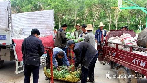 复地悦城吃瓜群众,吃瓜群众热议的社区生活全景