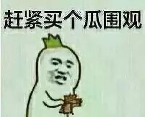 走着瞧吃瓜群众,揭秘网络围观背后的心理与社会现象