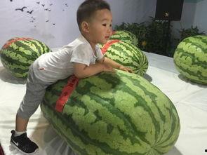 吃瓜群众王大头是谁啊,网络红人的崛起之路