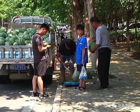 海洲街道吃瓜群众,吃瓜群众热议社区新鲜事