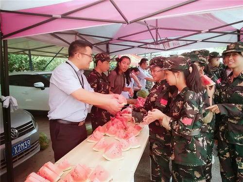 甜蜜蜜专业吃瓜群众,揭秘专业吃瓜群众的甜蜜生活与独特视角