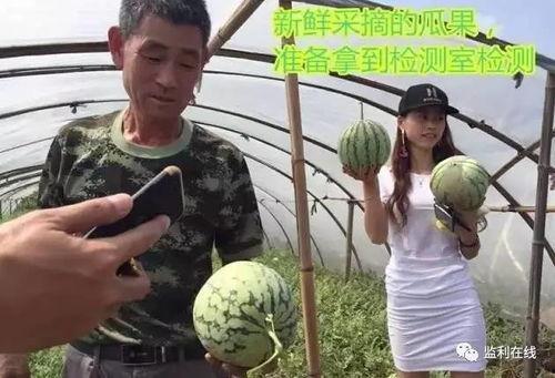 吃瓜群众 直播回放在线观看,吃瓜群众热议瞬间，精彩瞬间在线重温