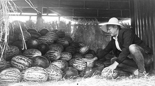 鬼谷子峡谷吃瓜群众,揭秘神秘传说，探寻吃瓜群众的神秘故事