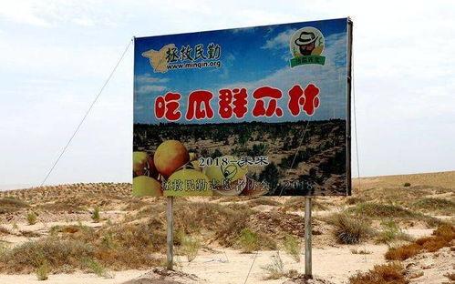 吃瓜群众沙漠,揭秘吃瓜群众眼中的神秘绿洲