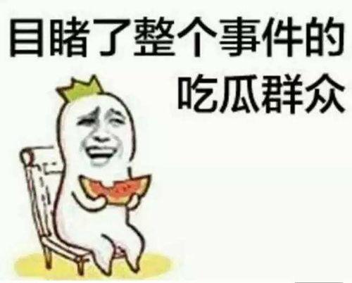 吃瓜群众宋掌柜视频在线观看,揭秘娱乐圈幕后故事