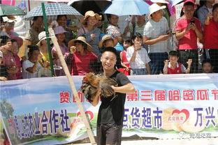 喝茶吃瓜群众心得体会,品茗赏瓜的悠然时光