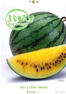 峡谷吃瓜群众还会再开吗