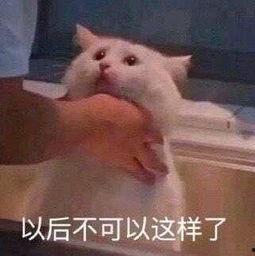 吃瓜的朝阳群众自拍,揭秘都市生活百态