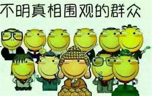 吃瓜群众法律风险,吃瓜群众法律风险防范指南