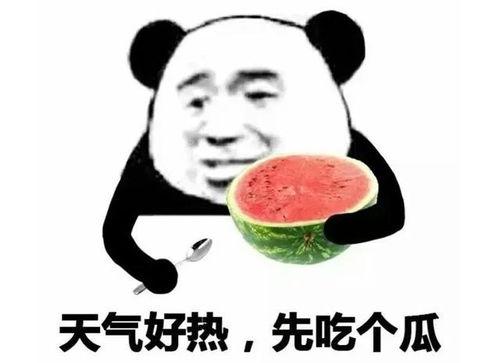 吃瓜群众白眼尬笑表情包,吃瓜群众的独特表达方式