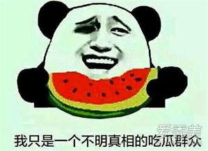 吃瓜群众瓜子板凳,揭秘网络热议背后的故事